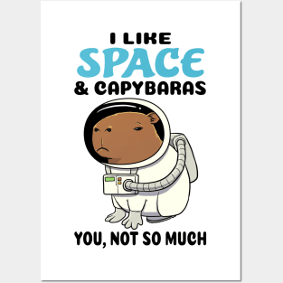 I Like Space and Capybaras you not so much Posters and Art